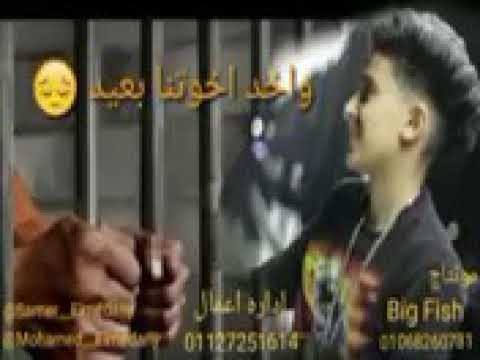 حالات واتس سامر المدني بغني ياحديد لي معانا عنيييد