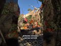 Чем занять ребёнка после сбора урожая