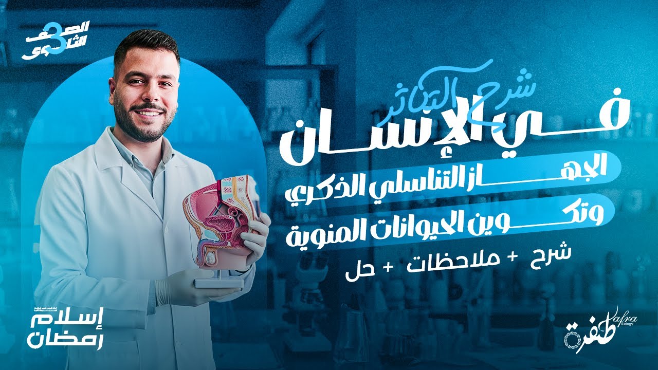 شرح الجهاز التناسلي الذكري بكل ملاحظاته | التكاثر في الإنسان | أحياء ثانوية عامة 2026