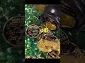 Why Gold Has Been Valuable For Thousands Of Years