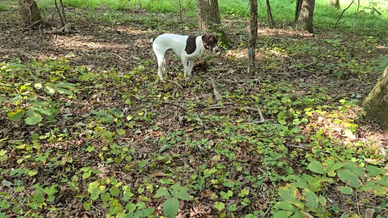 This time Winston kicked dirt on Walter.