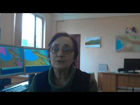 21 ნოემბერი 2013წ. ამინდის პროგნოზი