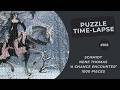 1000 pieces Jigsaw Puzzle | Nene Thomas - A Chance Encounter | Time Lapse #105