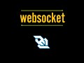 Основы WebSocket: что это и как это работает!