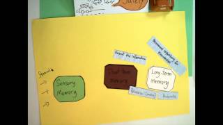 QED528 - 5 Learning Theories