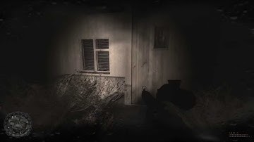 S.T.A.L.K.E.R. SoC: Wild Territory