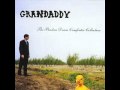 Wretched Songs  - Grandaddy