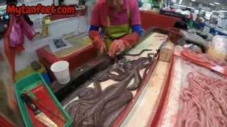 the jalgachi fish market in busan south korea