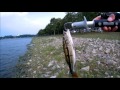 Fishing in Singapore: Late Afternoon at Bedok, Nov 2015