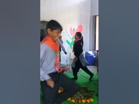 holi 208