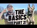 BASIC OBEDIENCE TRAINING WITH MY BELGIAN MALINOIS PART 2! HEEL/ SIT/ DOWN/ STAY!