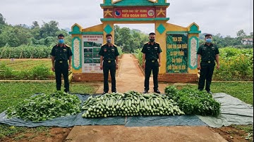 Bài hat: Tự hào là chiến sĩ Sư đoàn 3 - Phiên bản chuẩn