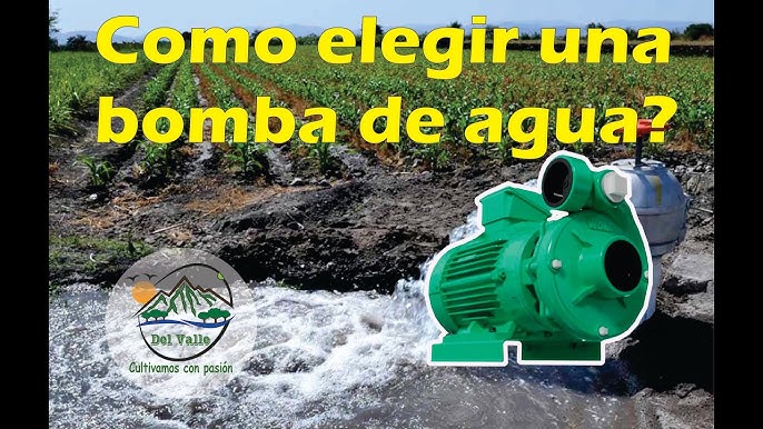 Económica y Potente BOMBA de AGUA SOLAR! con batería de 12v ☀️🔋 