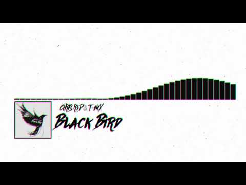 Ranker Video