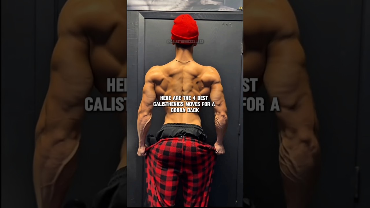 Best 4 Calisthenics Exercises For Cobra Back