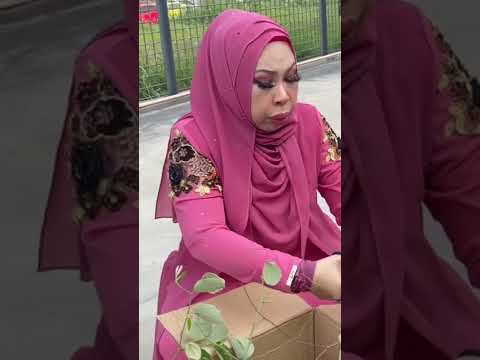 Tanah kubur tutup