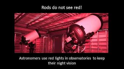 Week 6 / Lecture1 : Eyes and Cameras