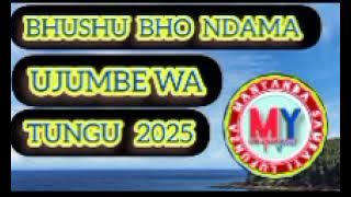 BHUSHU BHO NDAMA UJUMBE WA TUNGU 0688304089 BY MSAMBAZAJI LUFUNZA MANYANDA 2025