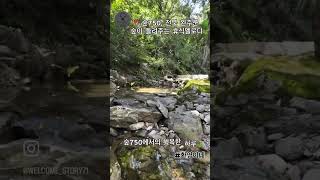 Download Lagu Today, I visited Forest 750 (숲750) in Wanju, Jeonbuk 🌿 MP3 Download Lagu Today, I visited Forest 750 (숲750) in Wanju, Jeonbuk 🌿 MP3