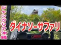 【ジャングリア沖縄】ダイナソーサファリ!肉食恐竜T-REXから車に乗って逃げるアトラクション