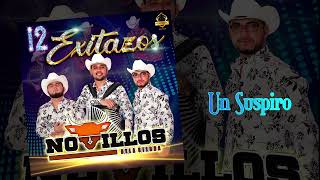 Video thumbnail of "Un Suspiro - Novillos De La Sierra (ESTRENO 2022)"