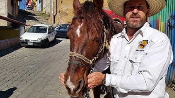 Myler Combination Bit