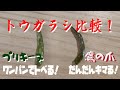 【スパイス】プリキーヌと鷹の爪の違いについて