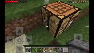 Minecraft survilvar