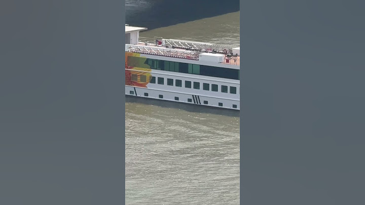 DE ZONNEBLOEM 🌻🤩🆒🏙️🚢🫡💯🌻ROTTERDAM BIG SHIPS