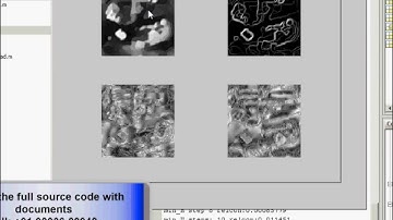 Parametric Blur Estimation for Blind Restoration of Natural Images: Linear Uniform Motion and Out-of