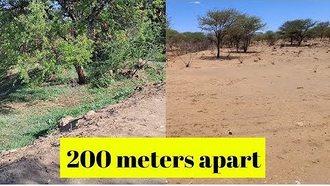 Permaculture Effects on our land vs neighbor.