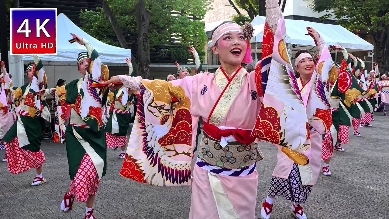 原宿表参道元気祭 （スーパーよさこい2025）
