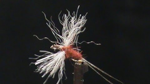 Beginner Fly Tying a Rusty Spinner with Jim Misiura