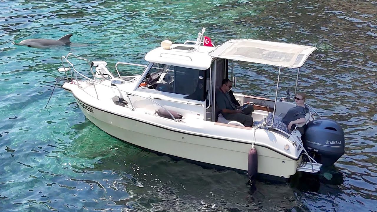 Сюрприз при охоте с гарпуном на тунца! Редкие красоты Мраморного моря🐟