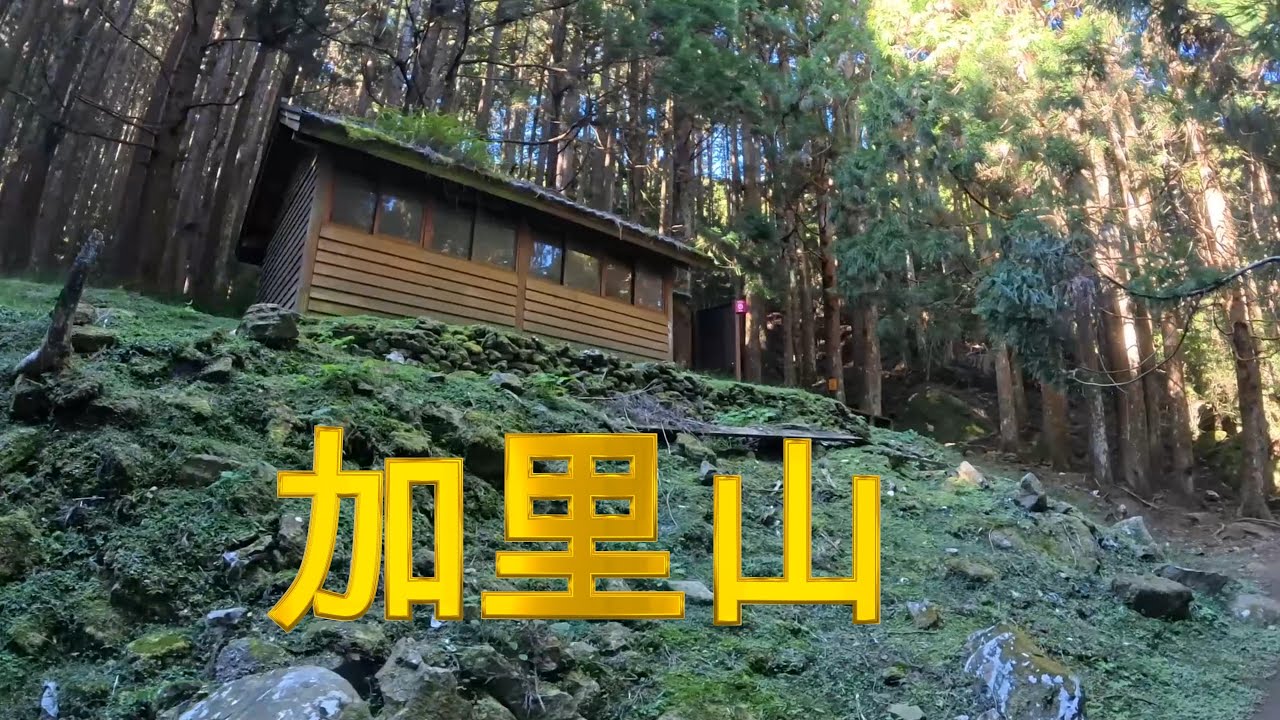 20251129 鹿場登山口上加里山