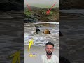 ما ضاق أمر إلا وفر جه الله وما تعس ر شيء إلا وكان بيد الله ألين مما نتخيل 
