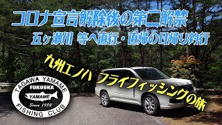 2020年 6月　コロナ宣言明けの五ヶ瀬川等九州ホームリバーへの日帰り釣行…九州エノハ・フライフィッシングの旅