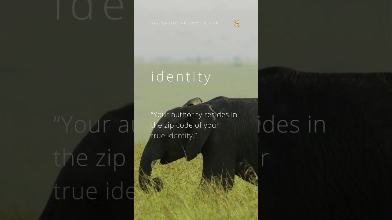 Authentic Authority Dwells In Your True Identity | Seed Gallery 