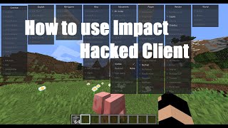 How to use the Impact client