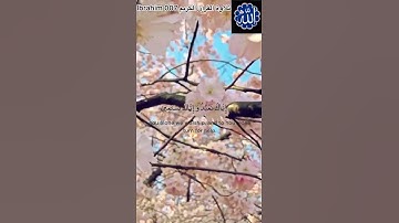 تلاوة القرآن الكريم سورة الفاتحة