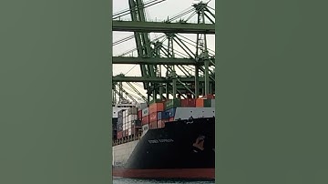 #short #ship #port #container #export #import  #tranding #vibes  #today