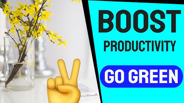 Green Your Workspace: Boost Productivity Sustainably