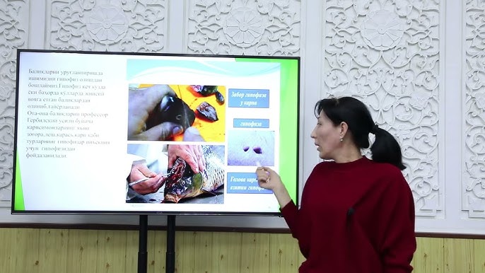 Sanatoriydagi fohishalar