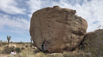 Joshua Tree - Slashface V3 R