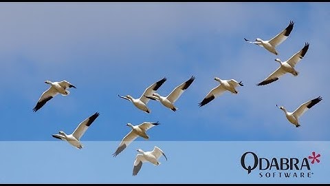 How to Migrate Forms, Part 2: Qdabra Free Webinar