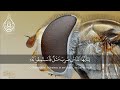 Sheikh Al Minshawi O Mankind An Example Is Presented So Listen To It 