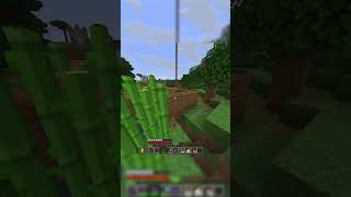 Surviving 10 Minute in Hardcore… in just 60 seconds