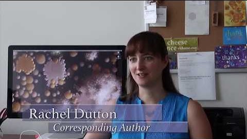 Making Cheese, Exploring Microbes