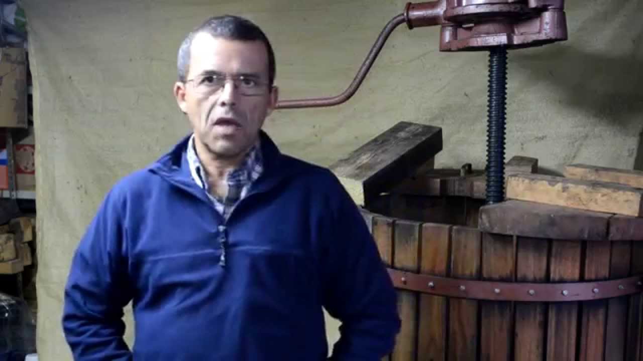 PROCESO DE ELABORACIÓN DEL TRADICIONAL MOSTO DE CARTAJIMA