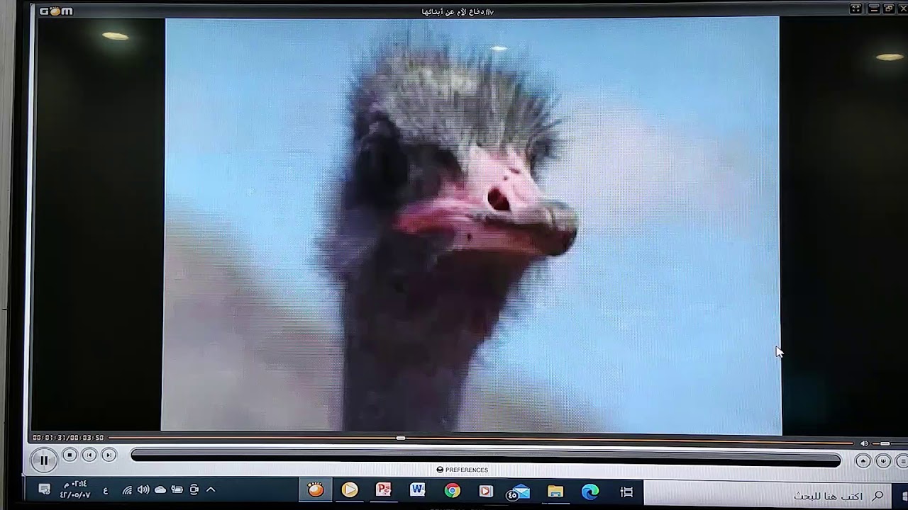 السلوكيات البيئية الجزء الرابع